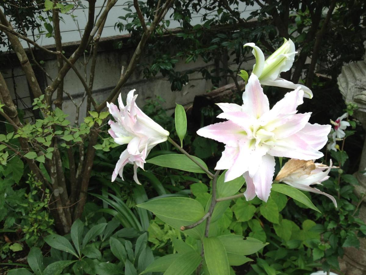 Otsu Nature Garden Akiruno Exterior photo