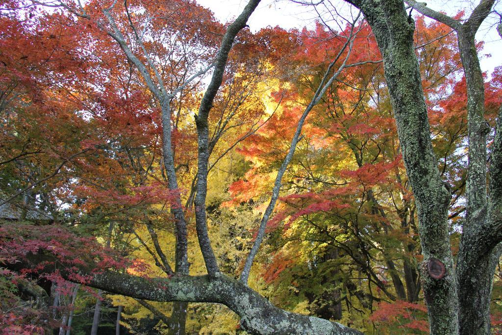Otsu Nature Garden Akiruno Exterior photo
