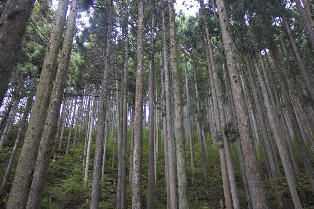 Otsu Nature Garden Akiruno Exterior photo